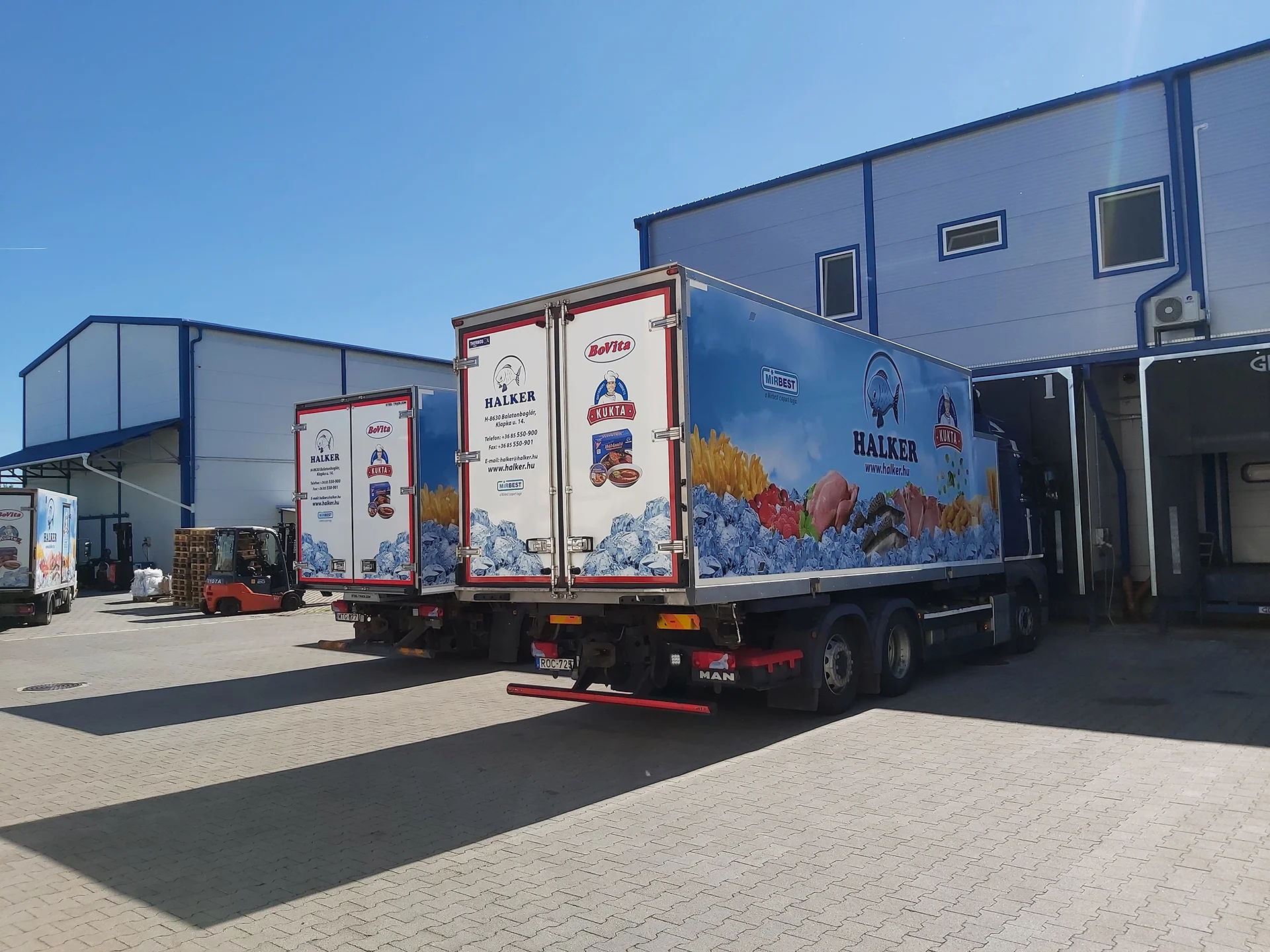 céges flotta dekor_2D fólia uv laminált_egyedi tervezésü_nyomtatott és vágott dekoráció_halker mirbest