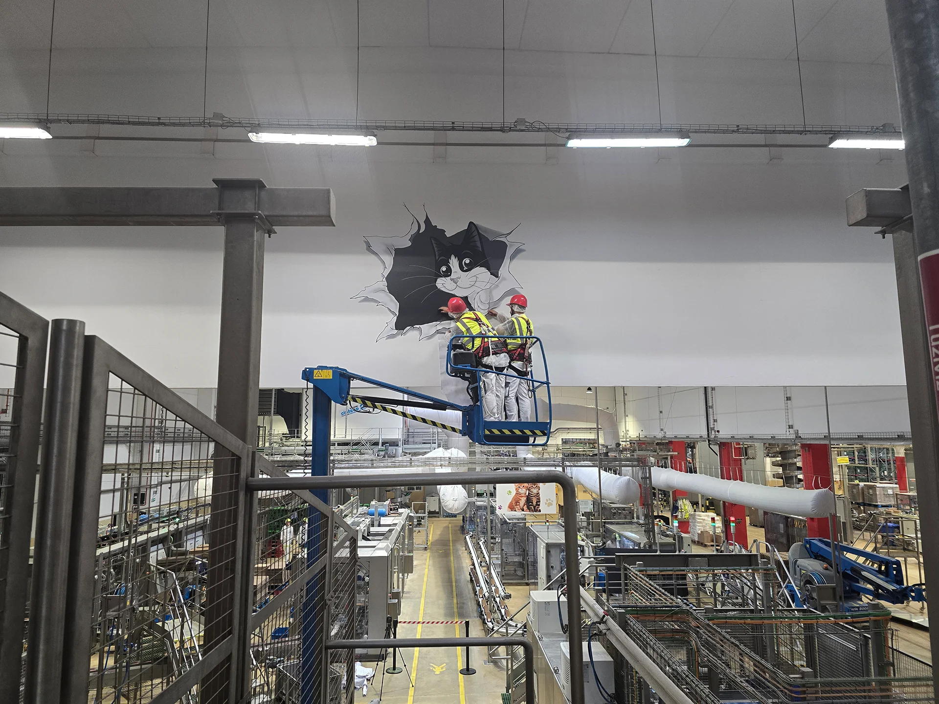 beltéri_nyomtatott laminált falmatrica deorációja